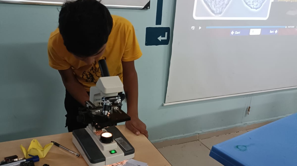 mikroskopla deney